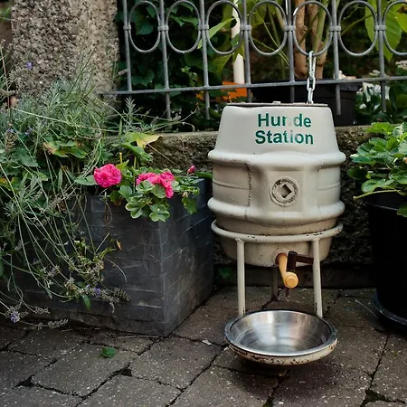 Alt-ringlein Bamberg