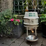 Alt-ringlein Bamberga