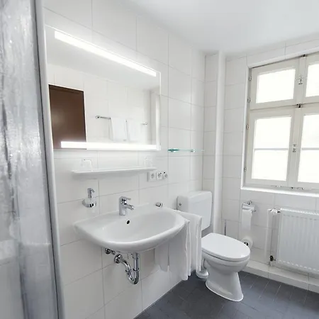 Hotel Alt-ringlein 2*