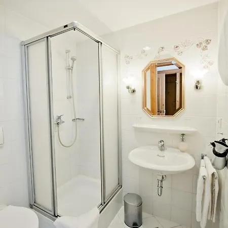 Hotel Alt-ringlein 2*